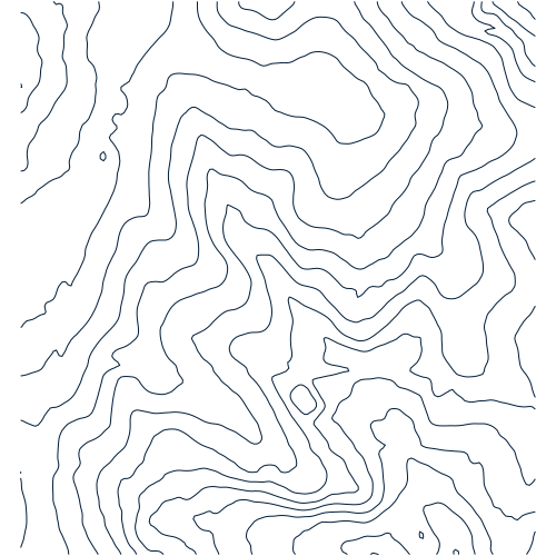 Image rendered by the activity